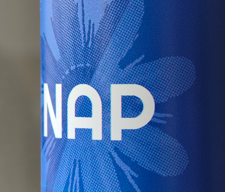 Classic NAP — reference photo